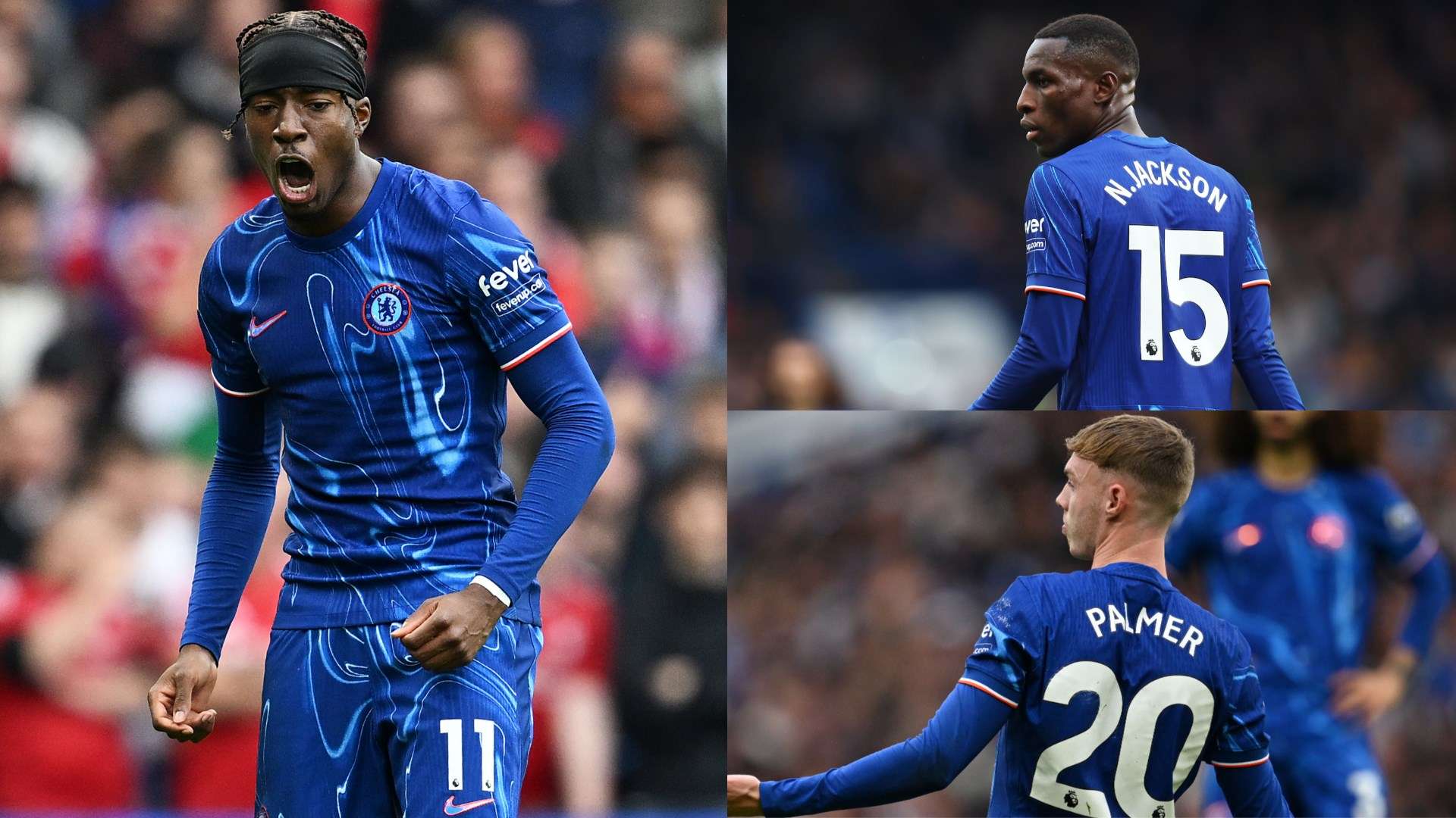 的国际关注 的国际关注